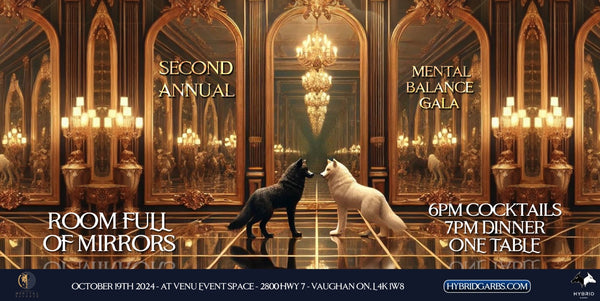 Mental Balance Gala - Room Full of Mirrors